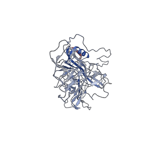 8099_5ipi_K_v1-5
Structure of Adeno-associated virus type 2 VLP