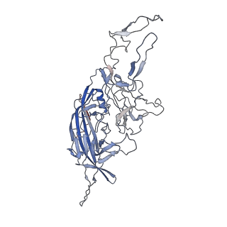 8099_5ipi_L_v1-4
Structure of Adeno-associated virus type 2 VLP