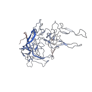 8099_5ipi_M_v1-4
Structure of Adeno-associated virus type 2 VLP