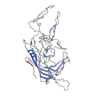 8099_5ipi_N_v1-4
Structure of Adeno-associated virus type 2 VLP