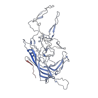 8099_5ipi_N_v1-5
Structure of Adeno-associated virus type 2 VLP