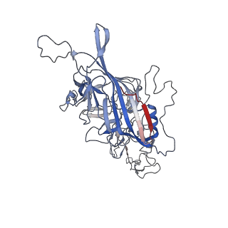 8099_5ipi_O_v1-4
Structure of Adeno-associated virus type 2 VLP