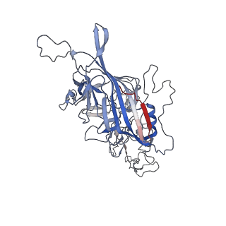 8099_5ipi_O_v1-5
Structure of Adeno-associated virus type 2 VLP