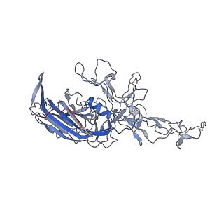 8099_5ipi_P_v1-4
Structure of Adeno-associated virus type 2 VLP