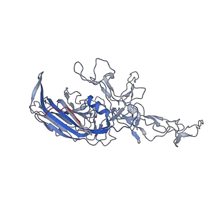 8099_5ipi_P_v1-5
Structure of Adeno-associated virus type 2 VLP