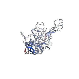8099_5ipi_Q_v1-4
Structure of Adeno-associated virus type 2 VLP