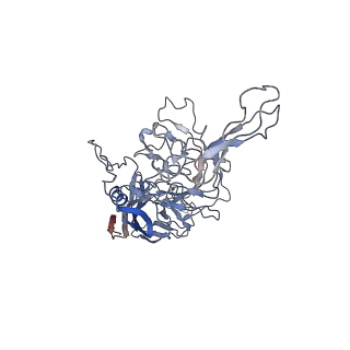 8099_5ipi_Q_v1-5
Structure of Adeno-associated virus type 2 VLP