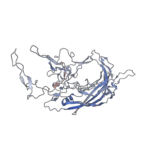 8099_5ipi_S_v1-4
Structure of Adeno-associated virus type 2 VLP