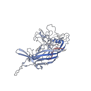 8099_5ipi_T_v1-4
Structure of Adeno-associated virus type 2 VLP