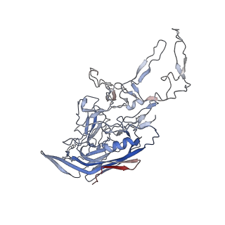 8099_5ipi_U_v1-5
Structure of Adeno-associated virus type 2 VLP