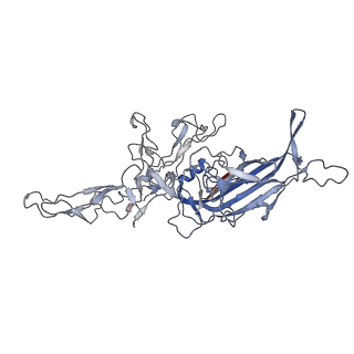 8099_5ipi_V_v1-4
Structure of Adeno-associated virus type 2 VLP