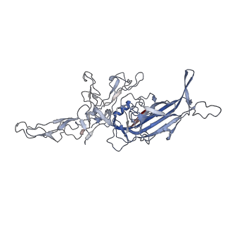 8099_5ipi_V_v1-5
Structure of Adeno-associated virus type 2 VLP