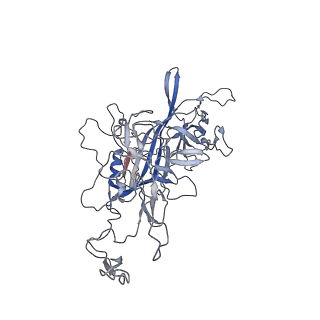 8099_5ipi_W_v1-4
Structure of Adeno-associated virus type 2 VLP