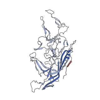 8099_5ipi_X_v1-4
Structure of Adeno-associated virus type 2 VLP