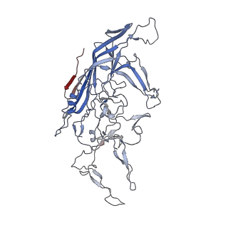 8099_5ipi_a_v1-4
Structure of Adeno-associated virus type 2 VLP
