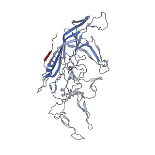 8099_5ipi_a_v1-5
Structure of Adeno-associated virus type 2 VLP