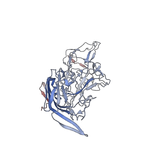8099_5ipi_b_v1-4
Structure of Adeno-associated virus type 2 VLP