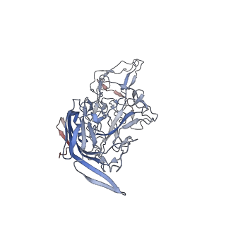 8099_5ipi_b_v1-5
Structure of Adeno-associated virus type 2 VLP