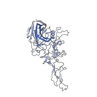 8099_5ipi_c_v1-4
Structure of Adeno-associated virus type 2 VLP
