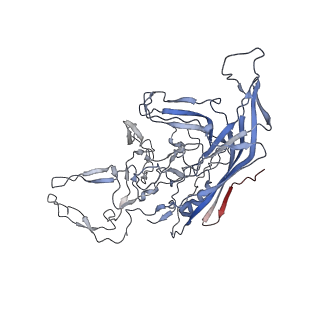 8099_5ipi_d_v1-4
Structure of Adeno-associated virus type 2 VLP