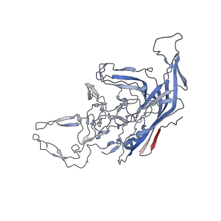 8099_5ipi_d_v1-5
Structure of Adeno-associated virus type 2 VLP