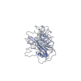 8099_5ipi_e_v1-4
Structure of Adeno-associated virus type 2 VLP