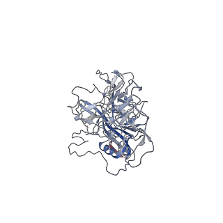 8099_5ipi_e_v1-5
Structure of Adeno-associated virus type 2 VLP