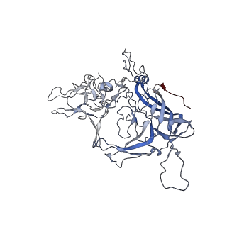 8099_5ipi_f_v1-4
Structure of Adeno-associated virus type 2 VLP