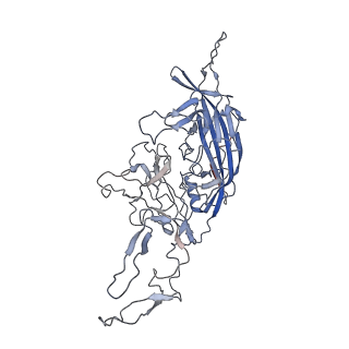 8099_5ipi_h_v1-4
Structure of Adeno-associated virus type 2 VLP