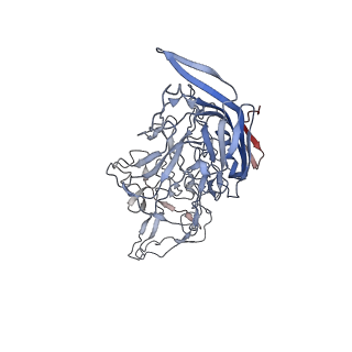 8099_5ipi_i_v1-5
Structure of Adeno-associated virus type 2 VLP