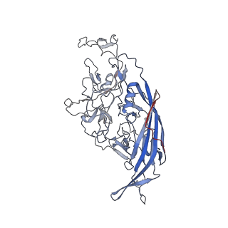 8099_5ipi_k_v1-4
Structure of Adeno-associated virus type 2 VLP
