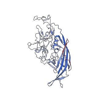 8099_5ipi_k_v1-5
Structure of Adeno-associated virus type 2 VLP