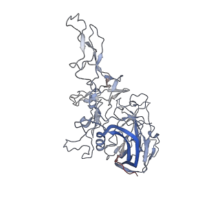 8099_5ipi_l_v1-4
Structure of Adeno-associated virus type 2 VLP