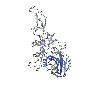 8099_5ipi_l_v1-5
Structure of Adeno-associated virus type 2 VLP