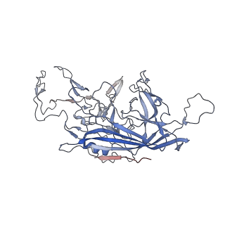 8099_5ipi_m_v1-4
Structure of Adeno-associated virus type 2 VLP