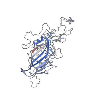 8099_5ipi_n_v1-4
Structure of Adeno-associated virus type 2 VLP