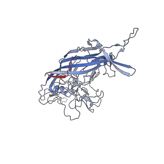 8099_5ipi_o_v1-5
Structure of Adeno-associated virus type 2 VLP