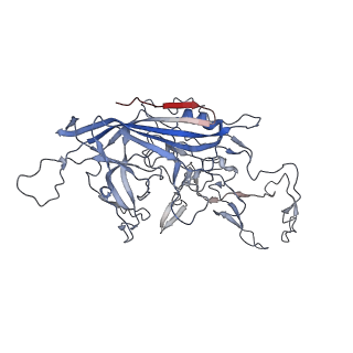 8099_5ipi_r_v1-4
Structure of Adeno-associated virus type 2 VLP