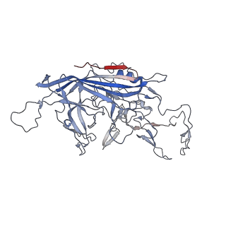 8099_5ipi_r_v1-5
Structure of Adeno-associated virus type 2 VLP