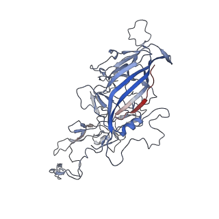 8099_5ipi_s_v1-4
Structure of Adeno-associated virus type 2 VLP