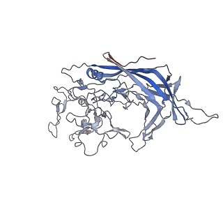 8099_5ipi_u_v1-4
Structure of Adeno-associated virus type 2 VLP