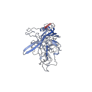 8099_5ipi_w_v1-4
Structure of Adeno-associated virus type 2 VLP