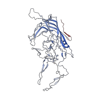 8099_5ipi_x_v1-4
Structure of Adeno-associated virus type 2 VLP