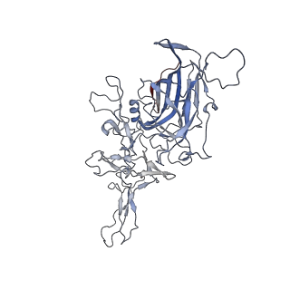 8099_5ipi_z_v1-4
Structure of Adeno-associated virus type 2 VLP