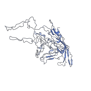 8100_5ipk_2_v1-5
Structure of the R432A variant of Adeno-associated virus type 2 VLP