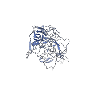 8100_5ipk_5_v1-4
Structure of the R432A variant of Adeno-associated virus type 2 VLP