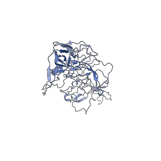 8100_5ipk_5_v1-5
Structure of the R432A variant of Adeno-associated virus type 2 VLP