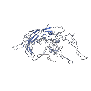 8100_5ipk_6_v1-4
Structure of the R432A variant of Adeno-associated virus type 2 VLP