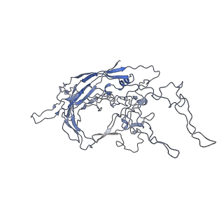 8100_5ipk_6_v1-5
Structure of the R432A variant of Adeno-associated virus type 2 VLP