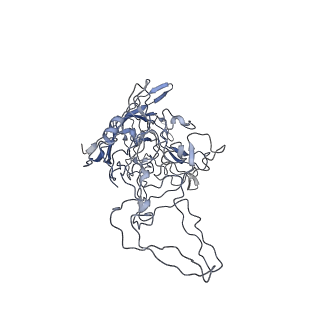 8100_5ipk_B_v1-4
Structure of the R432A variant of Adeno-associated virus type 2 VLP